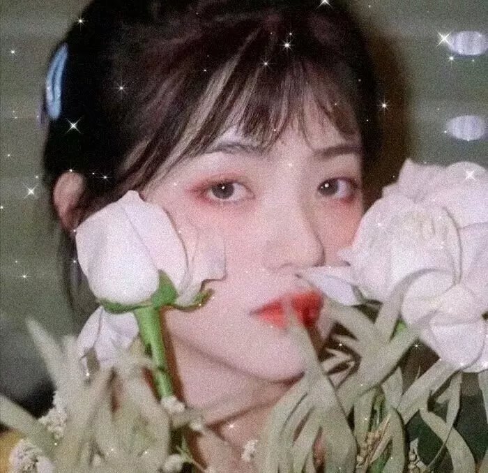 动画动漫
